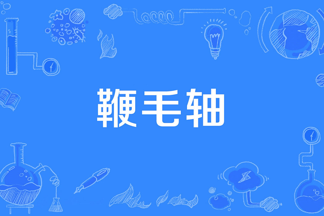 鞭毛軸 鞭毛軸