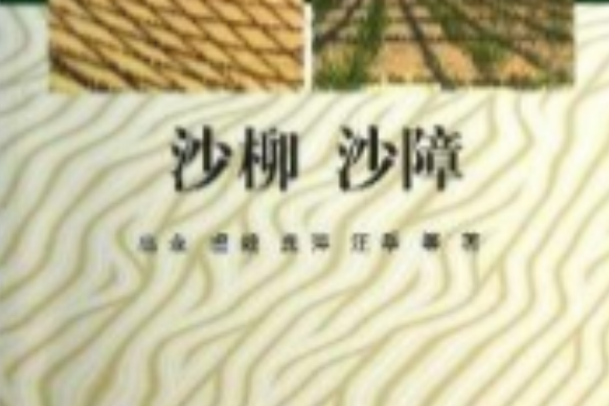 沙柳沙障