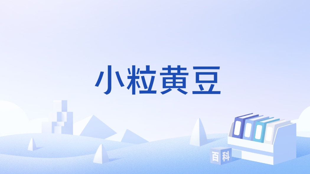 小粒黃豆 小粒黃豆