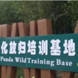 華鎣山大熊貓野外馴養基地
