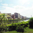 小布村(廣東省廣州市花都區花山鎮小布村) 小布村(廣東省廣州市花都區花山鎮小布村)