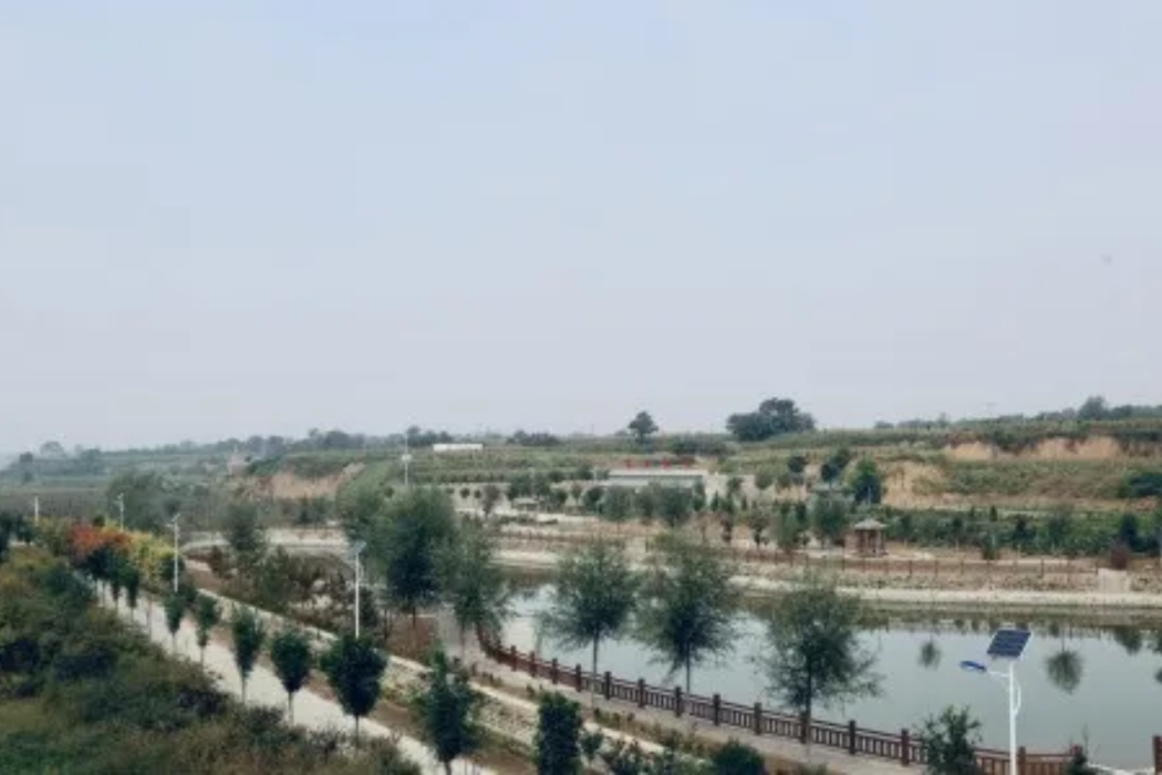 黨定村 黨定村