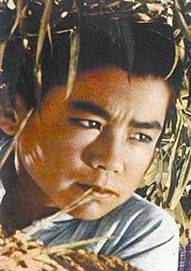 小兵張嘎(1963年崔嵬、歐陽紅櫻執導電影)