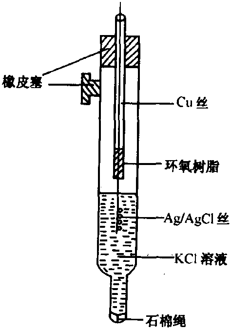 圖3 銀-氯化銀電極