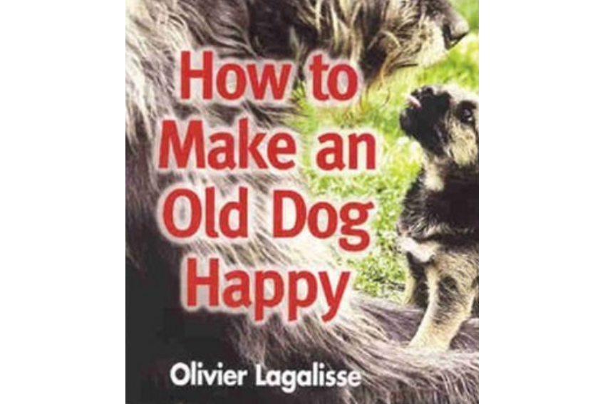 How to Make an Old Dog Happy How to Make an Old Dog Happy
