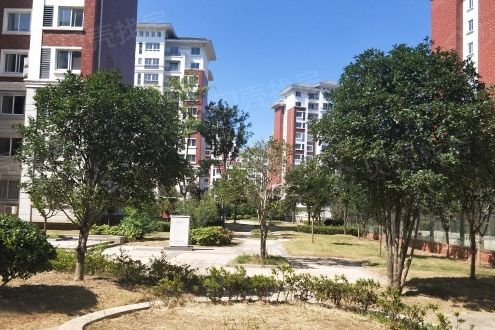 大南三村 大南三村