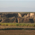 侯家窯遺址 侯家窯遺址