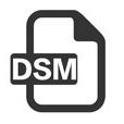 dsm(管理活動)