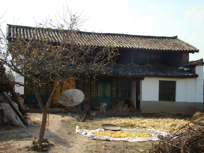 樹子臥村 樹子臥村