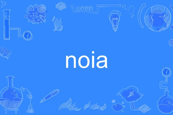 noia noia