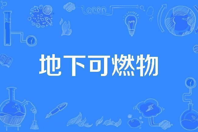 地下可燃物 地下可燃物