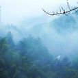 企石村(浙江紹興市新昌縣城南鄉下轄村) 企石村(浙江紹興市新昌縣城南鄉下轄村)
