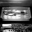 郭家崗遺址 郭家崗遺址