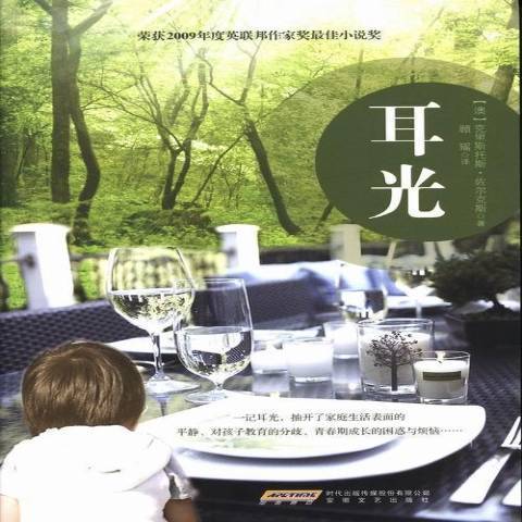 耳光(2013年安徽文藝出版社出版圖書) 耳光(2013年安徽文藝出版社出版圖書)