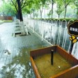 寵物廁所 寵物廁所