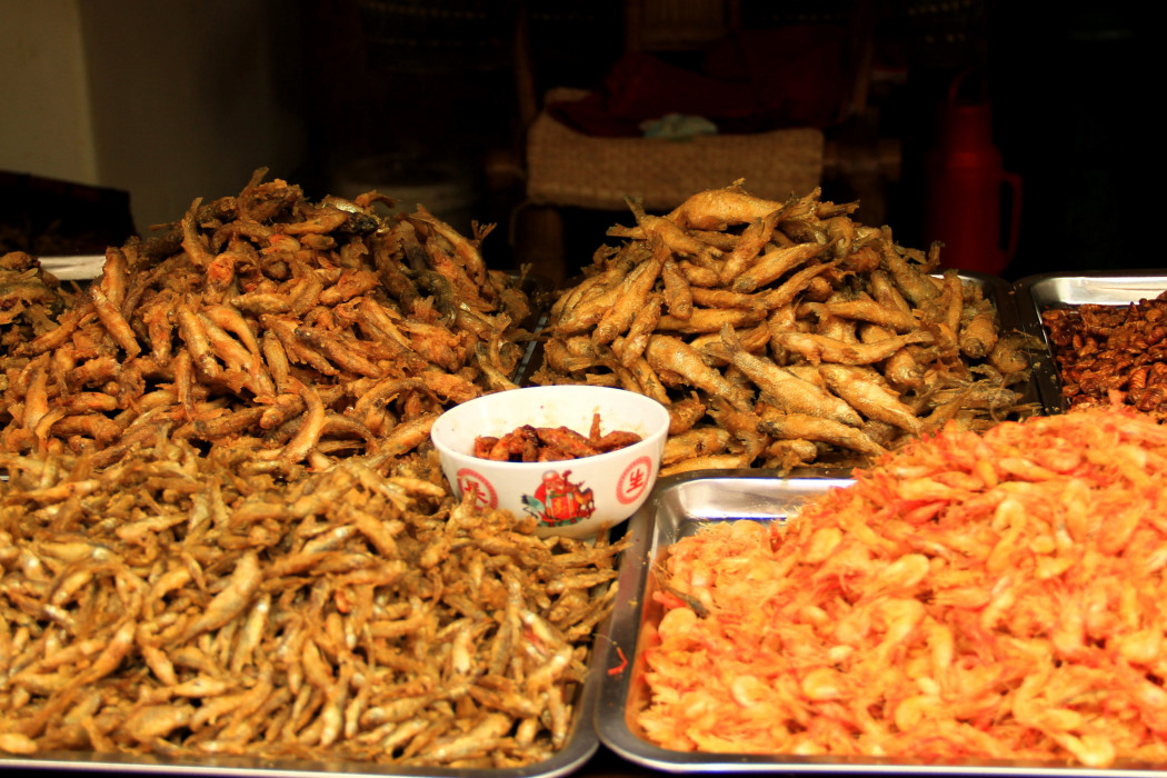貓貓魚
