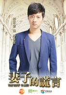 妻子的謊言(賈青、張曉龍主演電視劇)