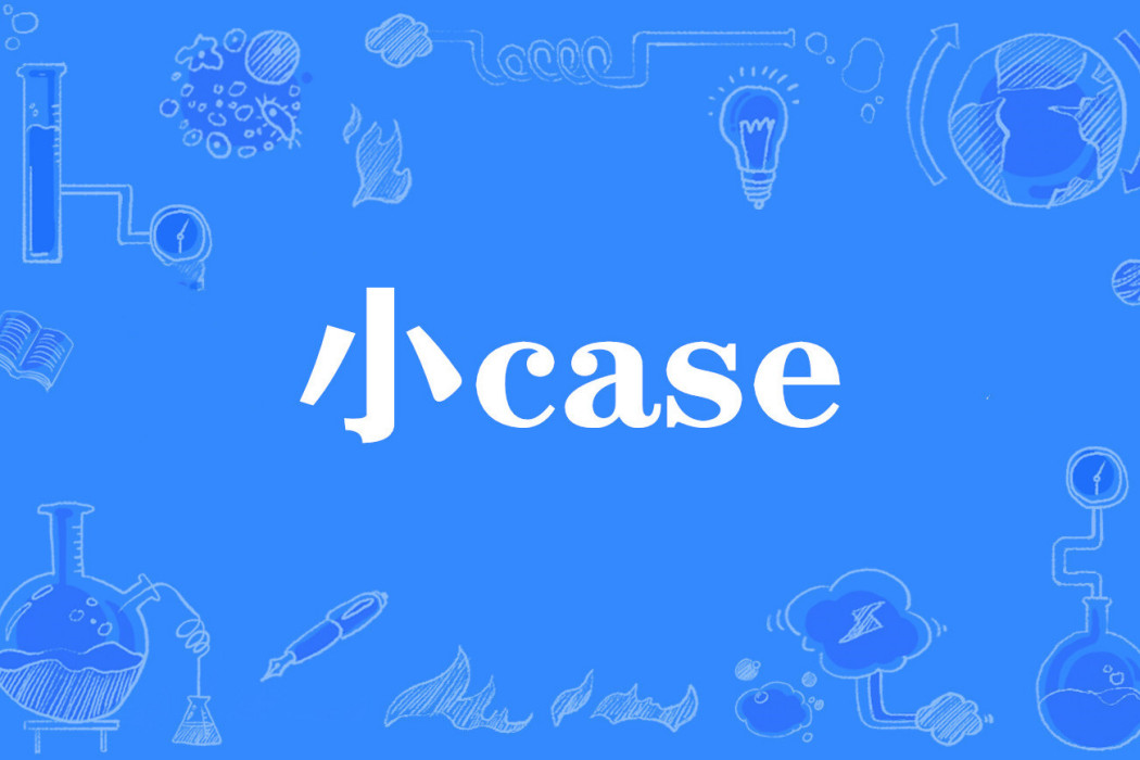 小case 小case