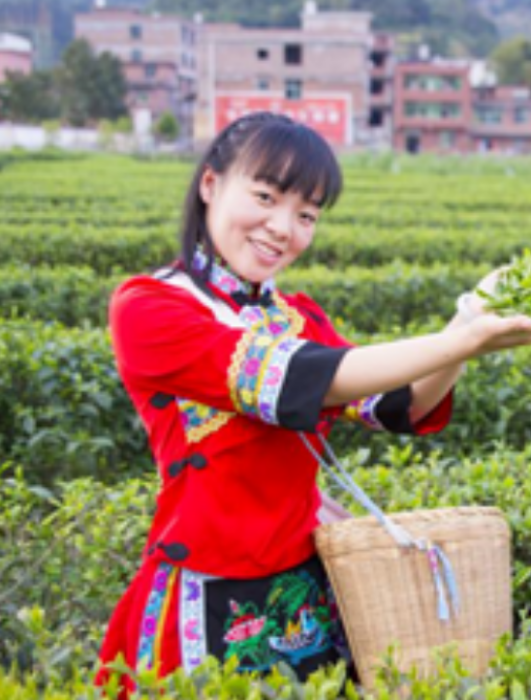 藍利麗 藍利麗
