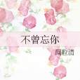 不曾忘你 不曾忘你