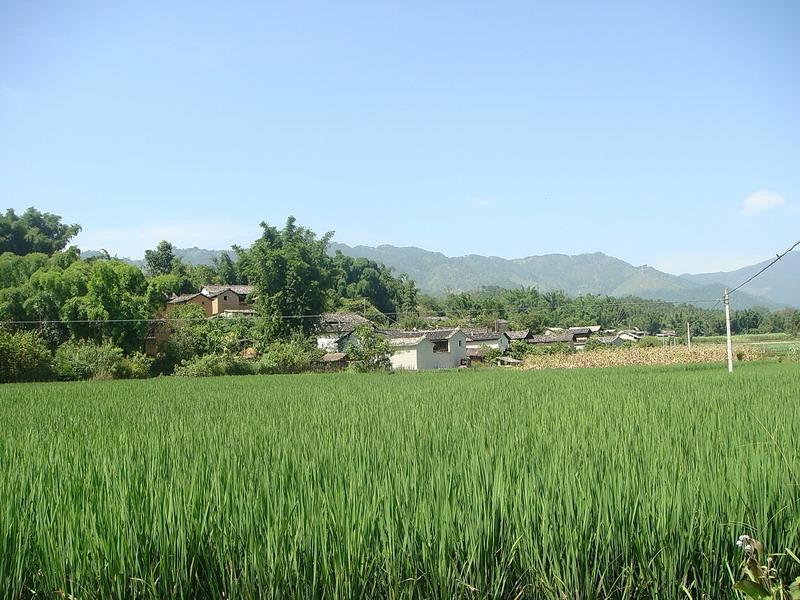 芒軒村 芒軒村