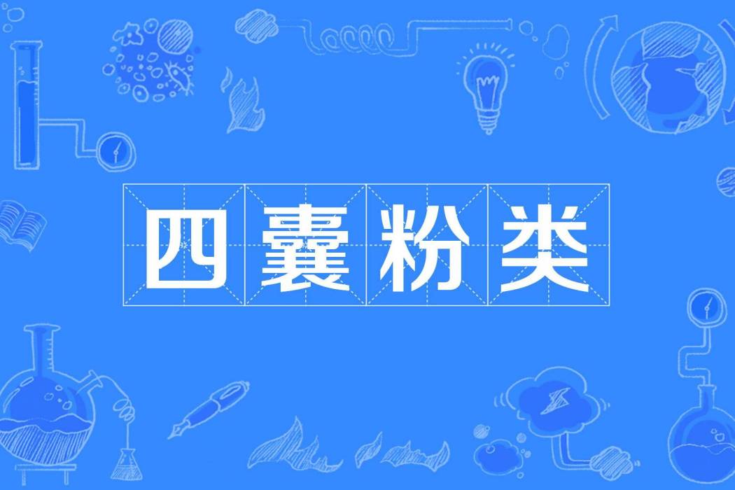 四囊粉類