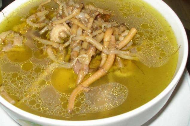 魚腥草綠豆湯