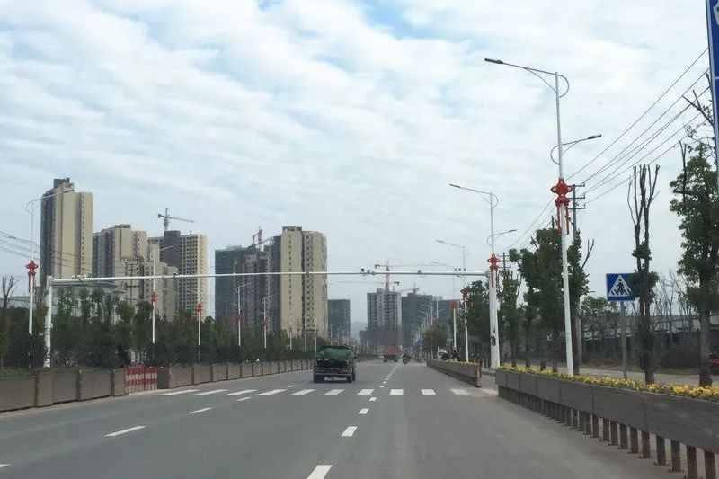 模範大道 模範大道