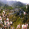 蕭山縣 蕭山縣