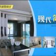 現代簡約(深圳市創揚文化傳播有限公司著圖書) 現代簡約(深圳市創揚文化傳播有限公司著圖書)