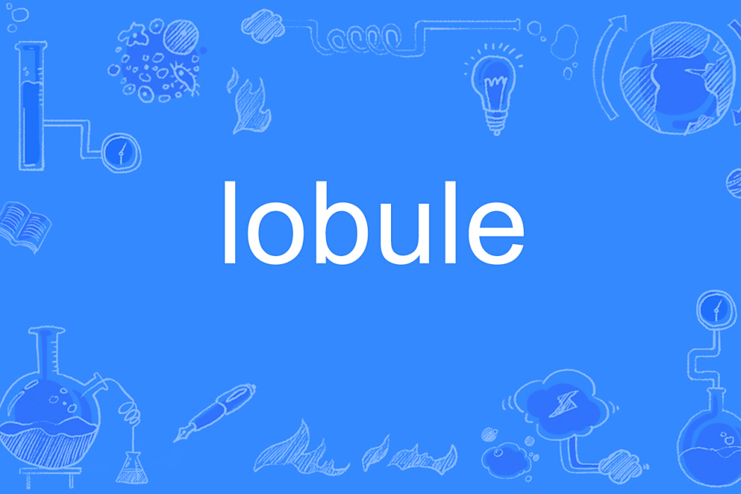 lobule lobule