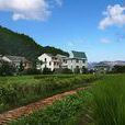 西邊村(福建省漳州台商投資區角美鎮下轄村) 西邊村(福建省漳州台商投資區角美鎮下轄村)