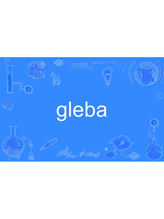 gleba gleba