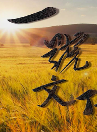 楊童舒 楊童舒