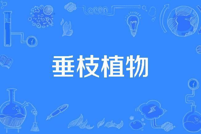 垂枝植物 垂枝植物