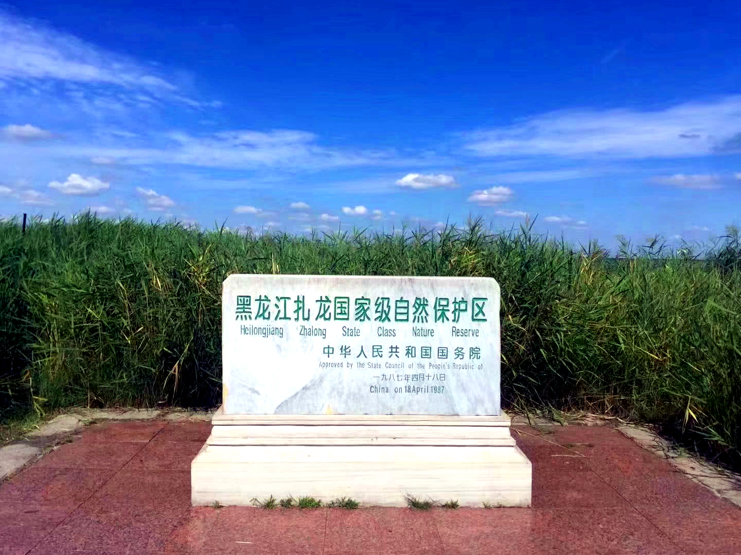 扎龍國家級自然保護區