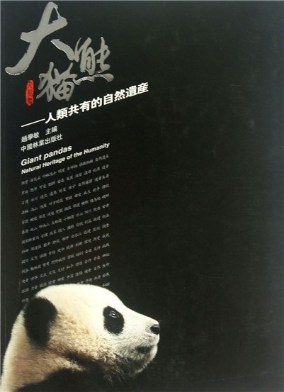 大熊貓（繁體中文版）