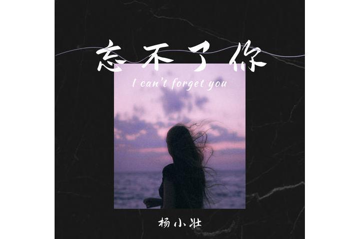 忘不了你(楊小壯演唱歌曲) 忘不了你(楊小壯演唱歌曲)