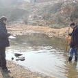 水質調查 水質調查