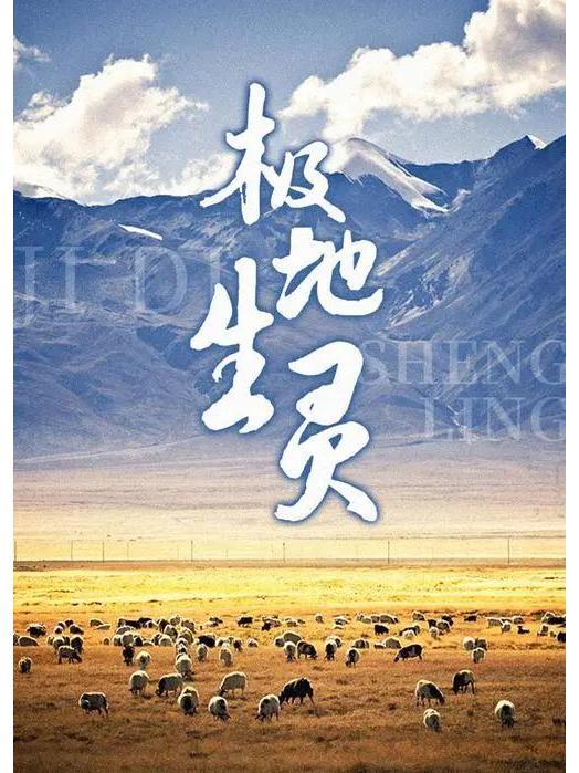 極地生靈(可雷導演的探索紀錄片) 極地生靈(可雷導演的探索紀錄片)