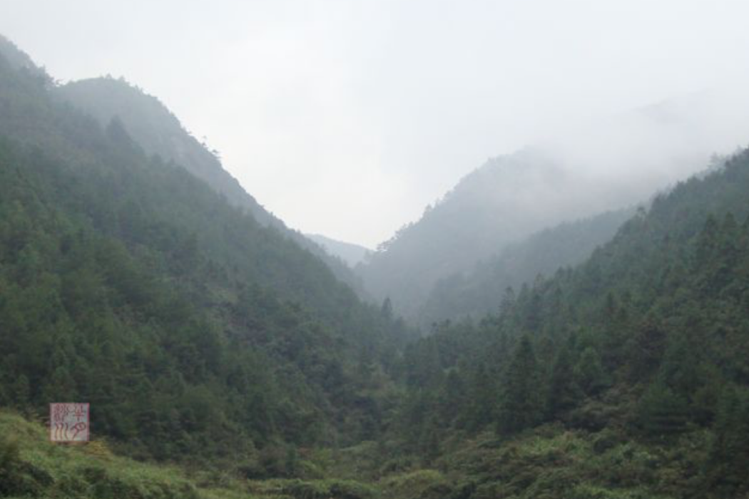 水巢峴 水巢峴