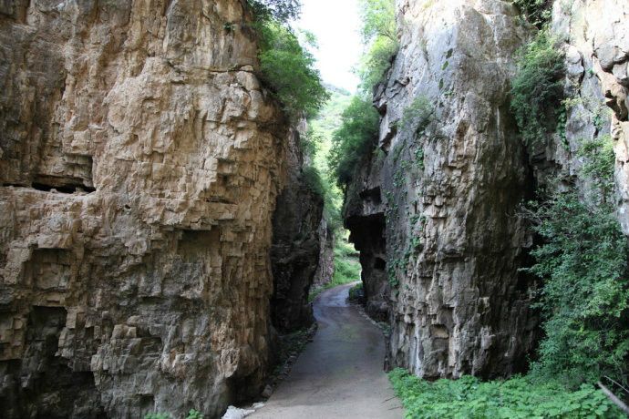 蓮花掌村 蓮花掌村
