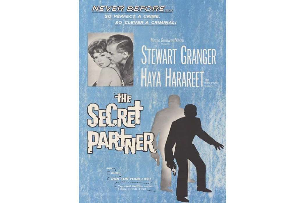 神秘賊