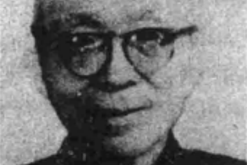 聞野鶴 聞野鶴