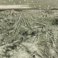 濕地霜降