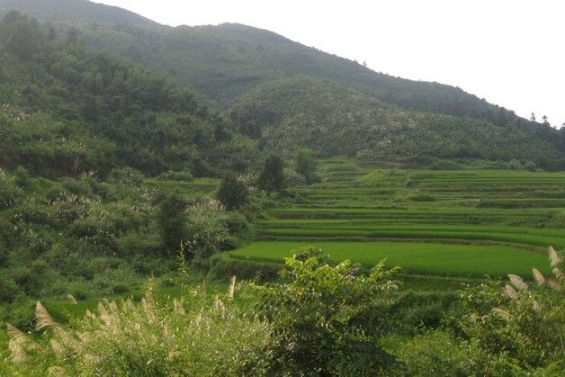 板田腳村