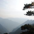 鳳陽山 鳳陽山
