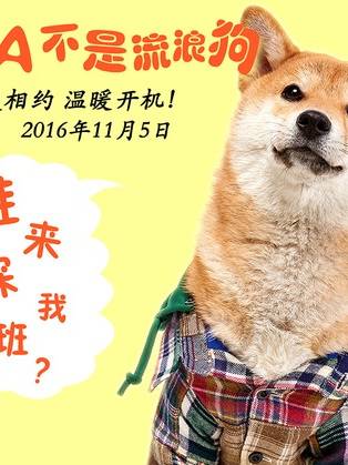 李彧(中國內地男演員、導演、編劇)