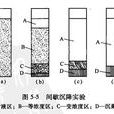 自由沉降 自由沉降