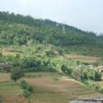 對面山村 對面山村